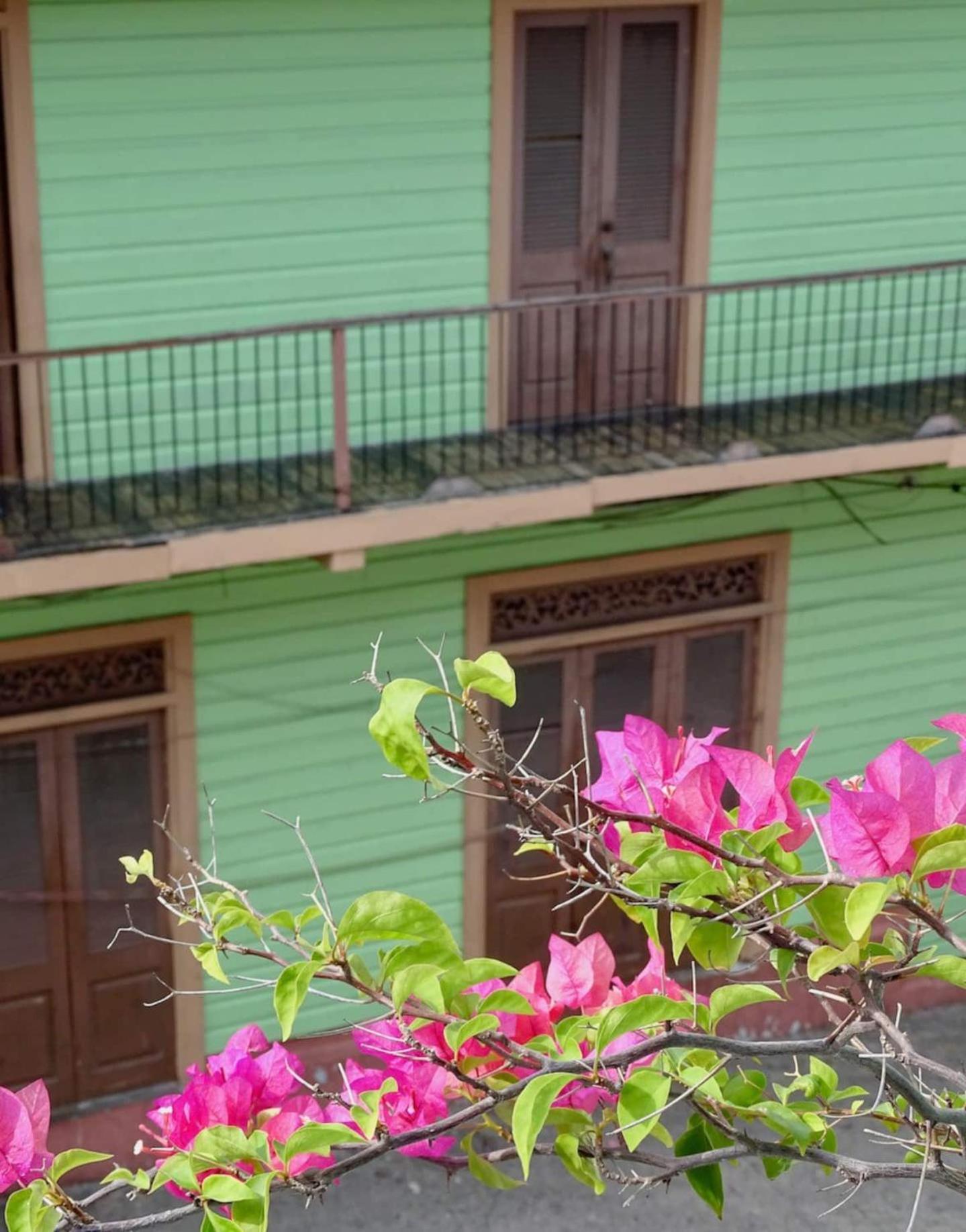 Flor de Lirio Cidade do Panamá Exterior foto